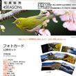 写真販売4SEASONs