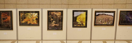 三ヶ島フォトクラブ 写真展
